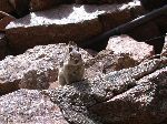 2007-0613-1323-48.jpg
